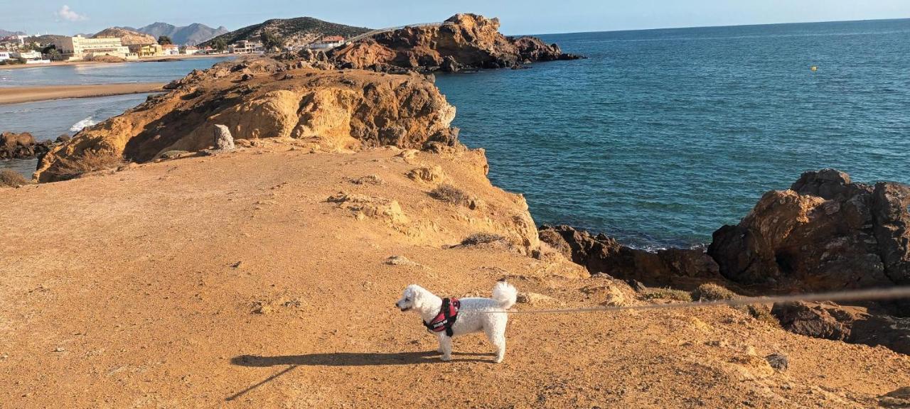 Sunrise Den, A Pie De Playa, Vista Al Mar Y Piscina Βίλα El Puerto de Mazarrón Εξωτερικό φωτογραφία