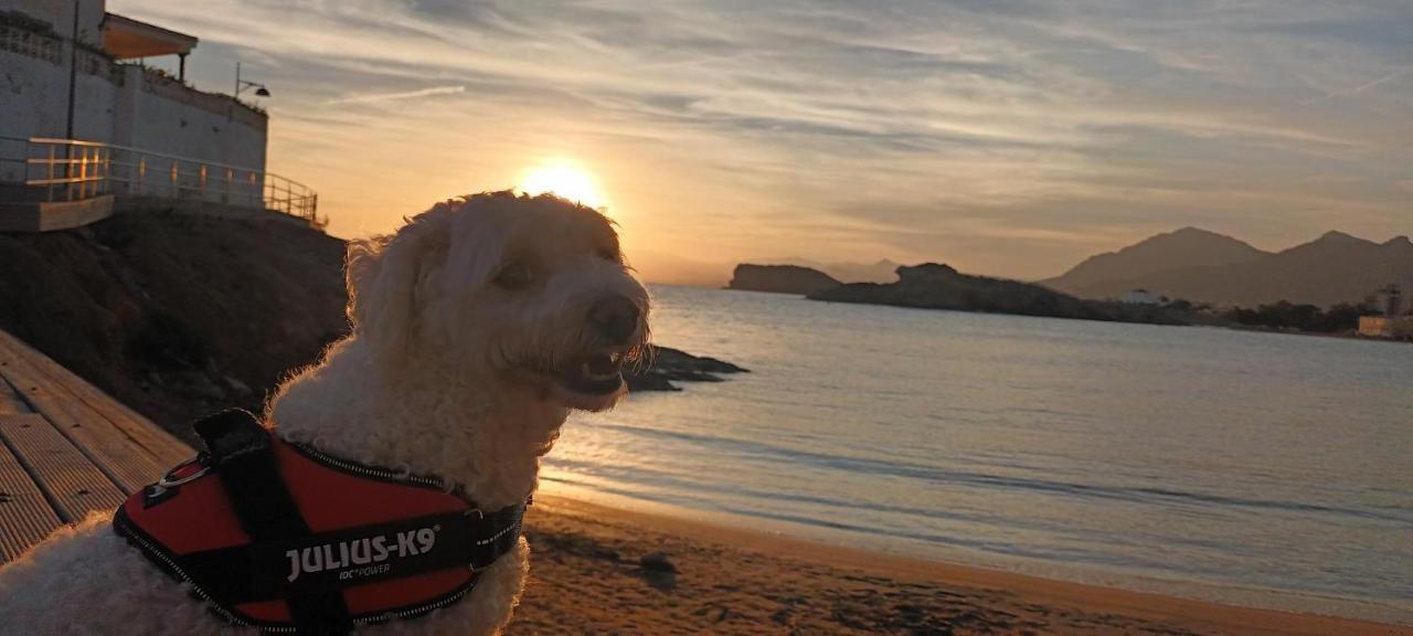 Sunrise Den, A Pie De Playa, Vista Al Mar Y Piscina Βίλα El Puerto de Mazarrón Εξωτερικό φωτογραφία